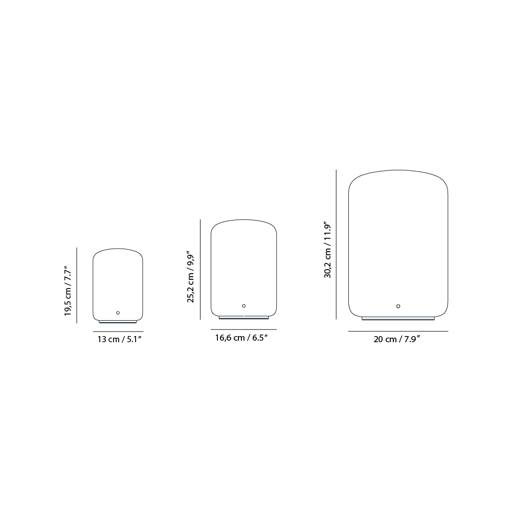 Capsule