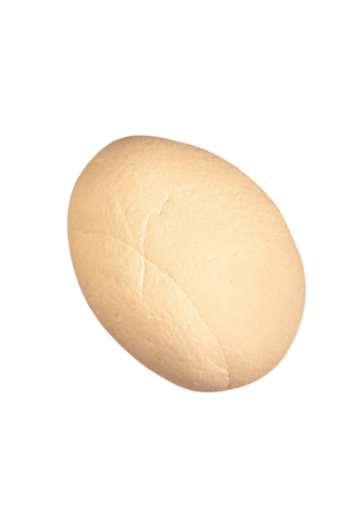 Códol