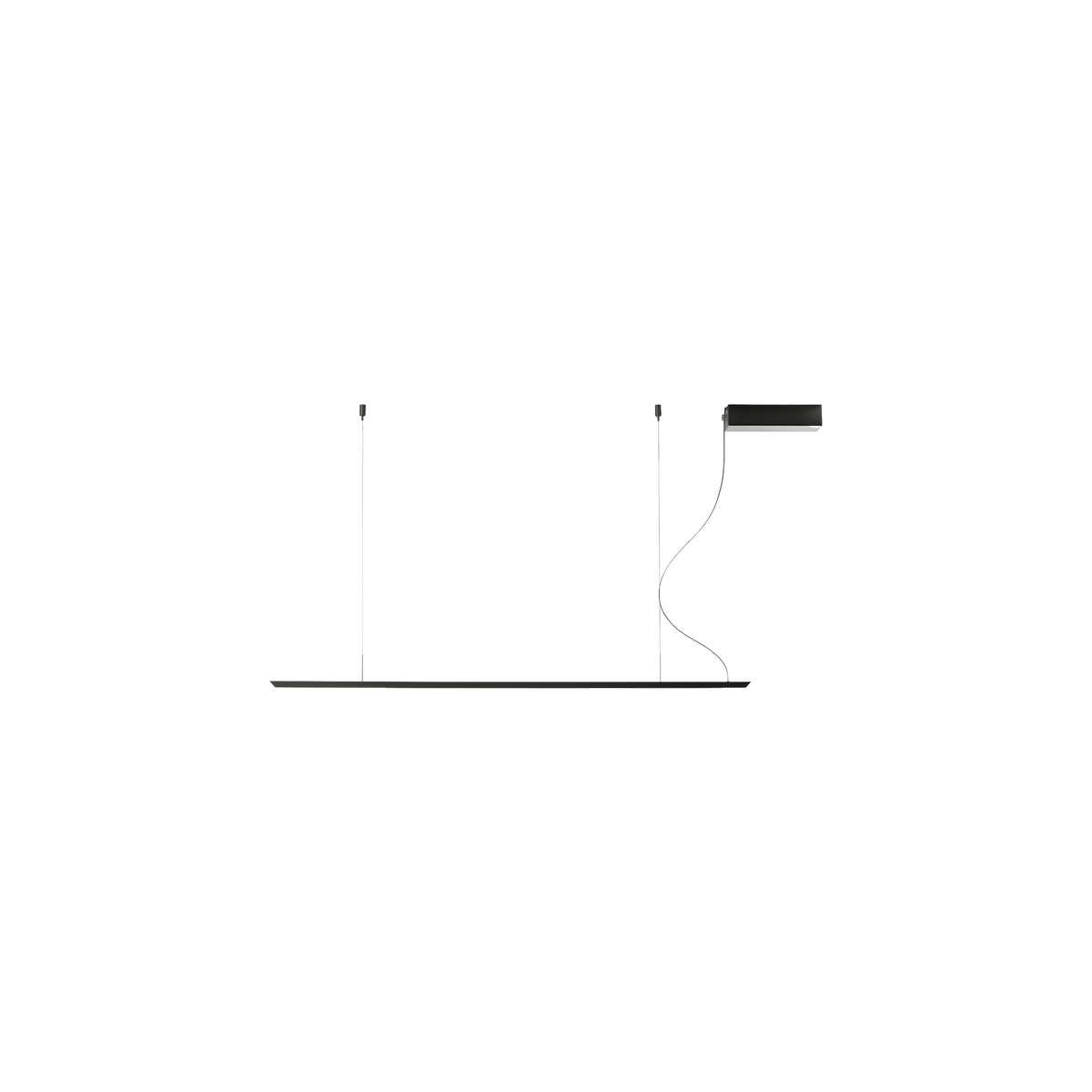 Lineal