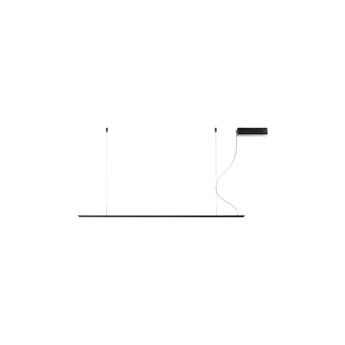 Lineal