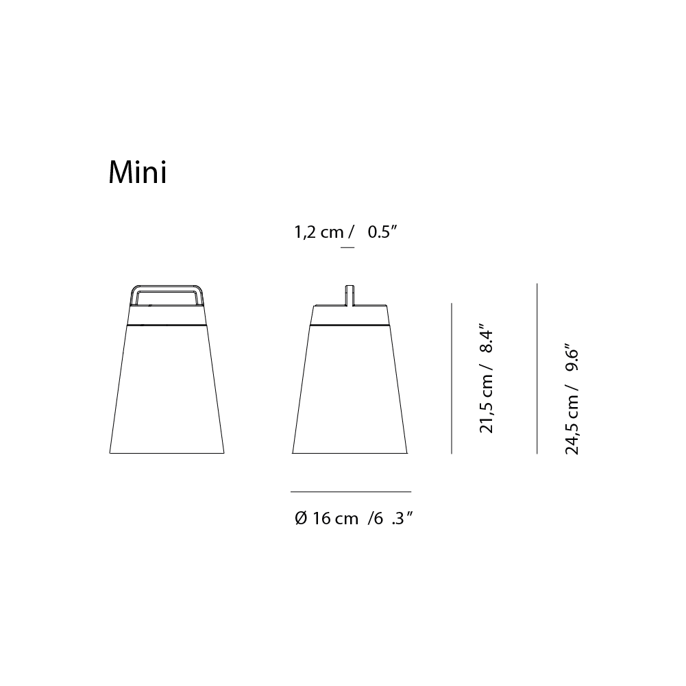 Sasha_battery