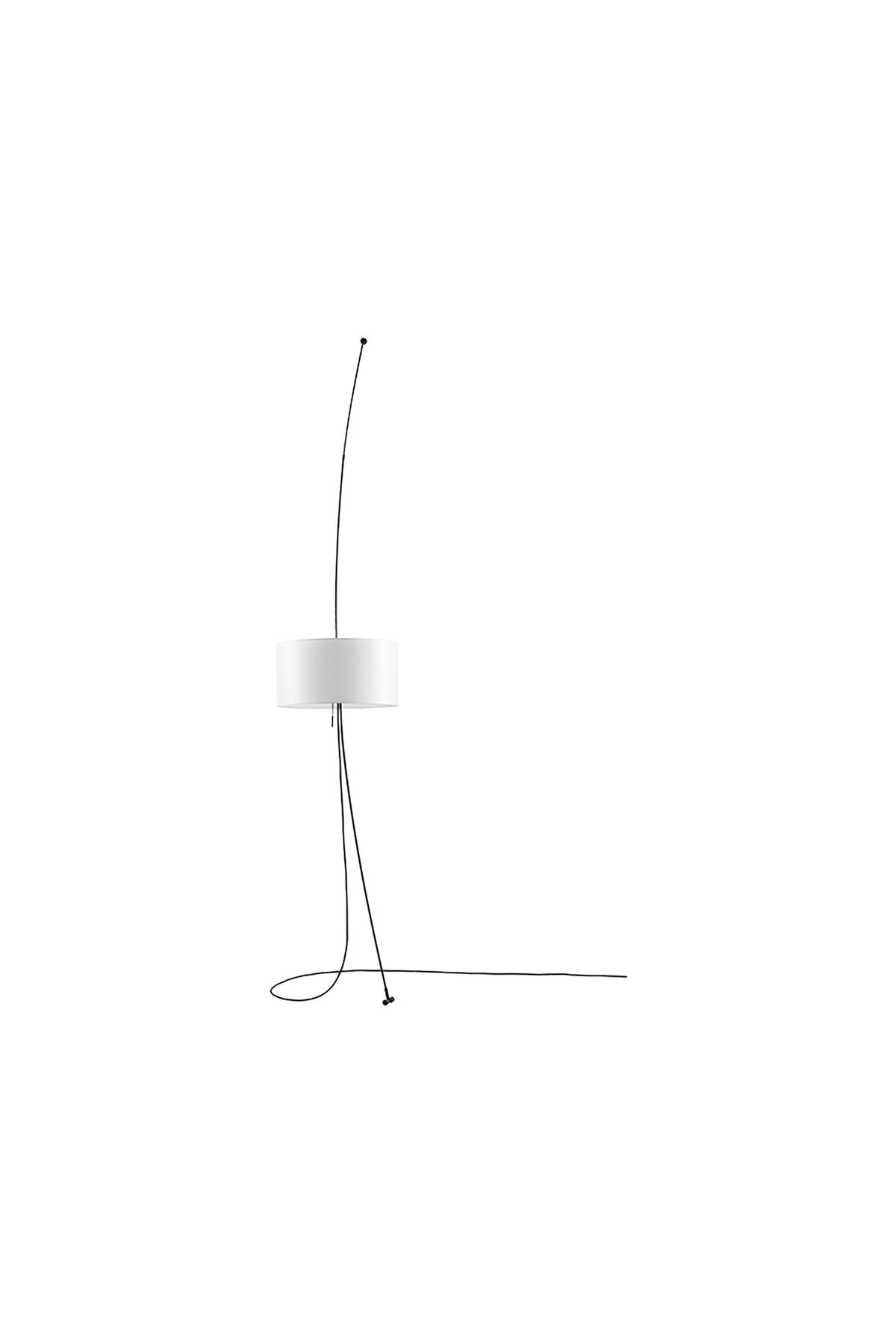 Totora